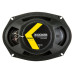 DS Series 6x9" 3-Way